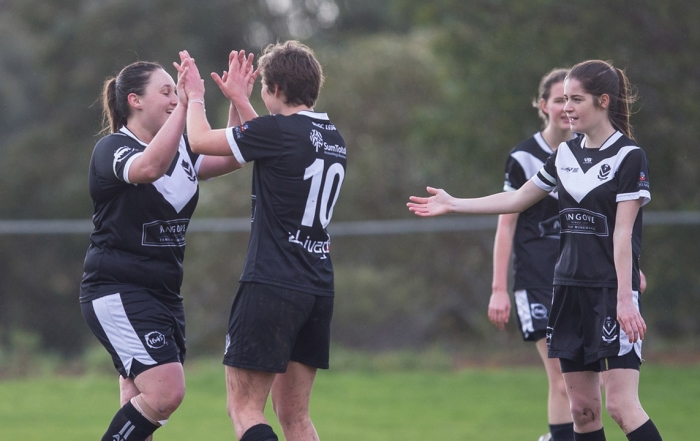 Premier Women v Cumberland 2015: courtesy 80kms.com