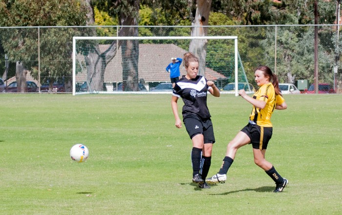 Division 2 women v Elizabeth Vale